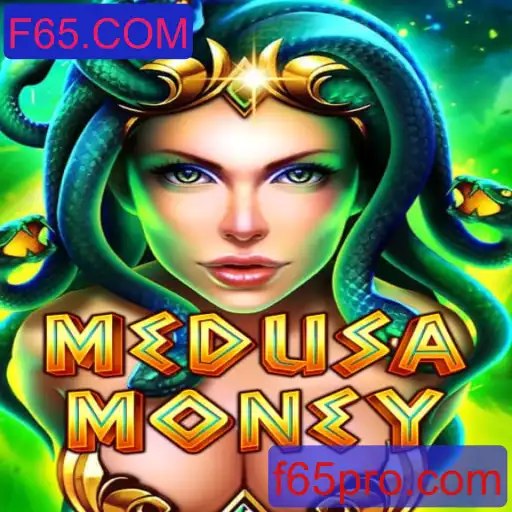 Explorando MedusaMoney: Um Guia Completo